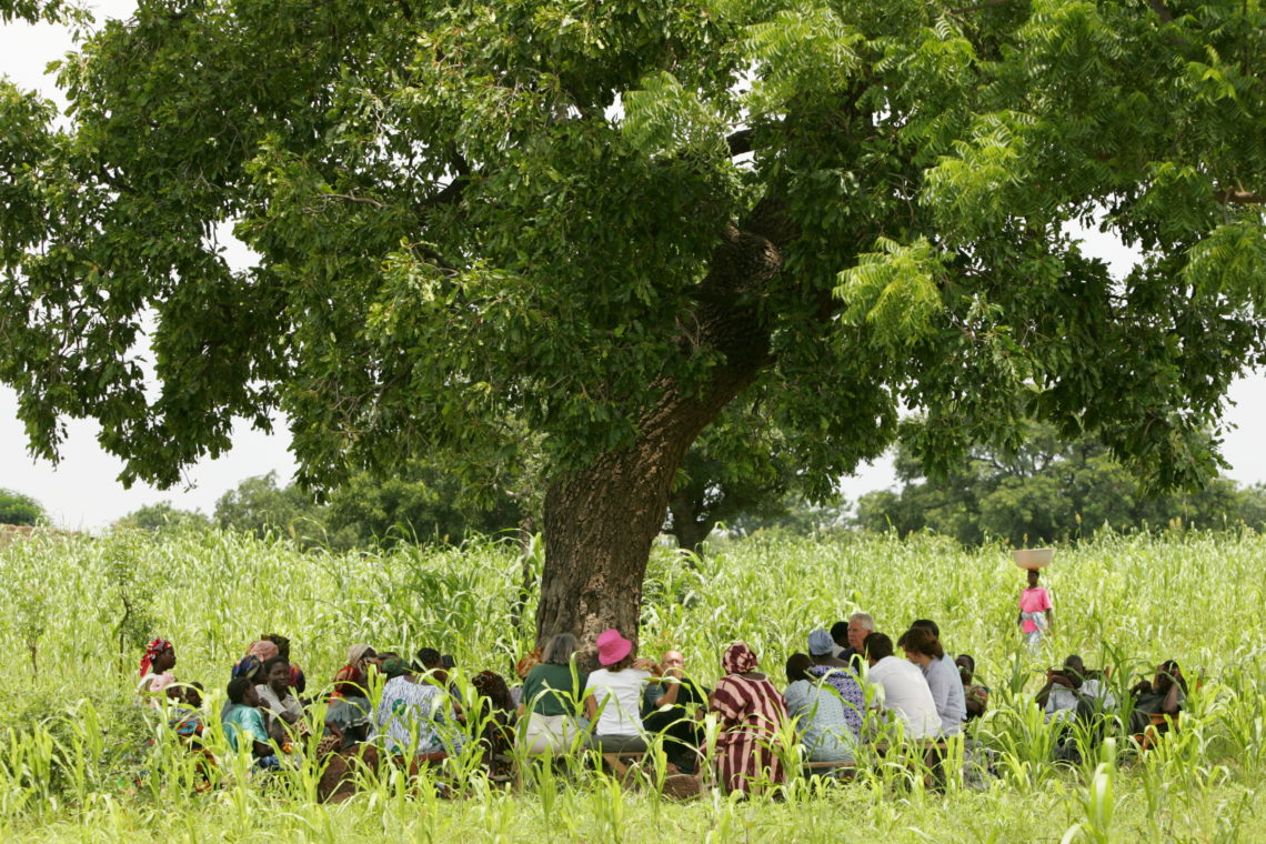 Large group of people gathered around tree in field