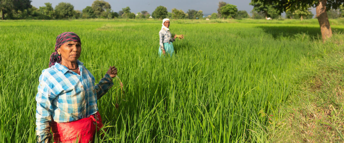 Two women stand in a field in India.