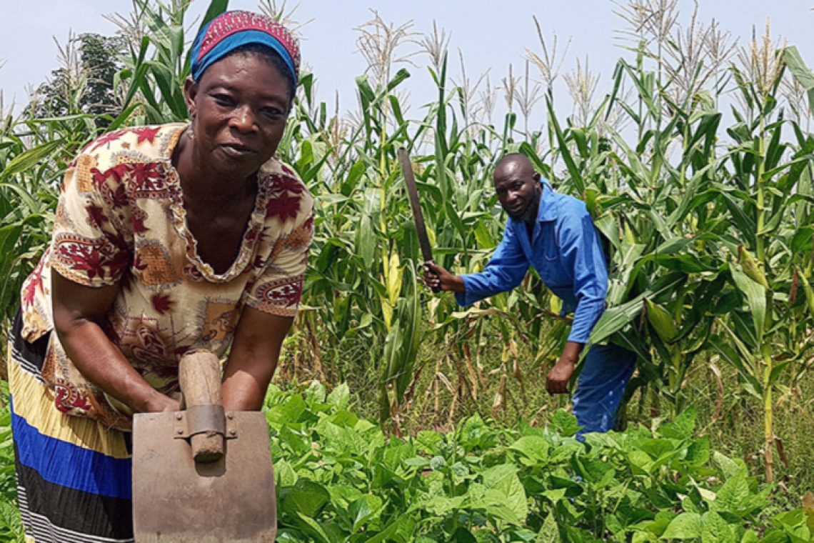 Women farmers ending hunger