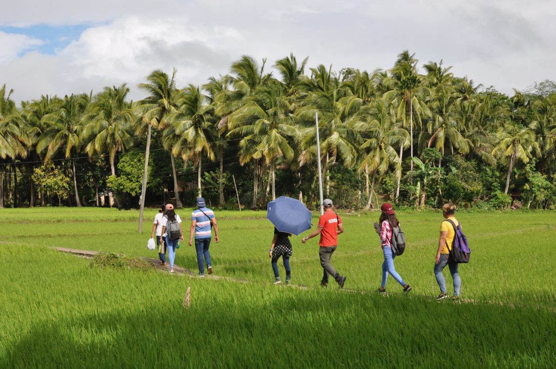 A group of farmers in a coop walk in a green grass field with coconut trees in the background.