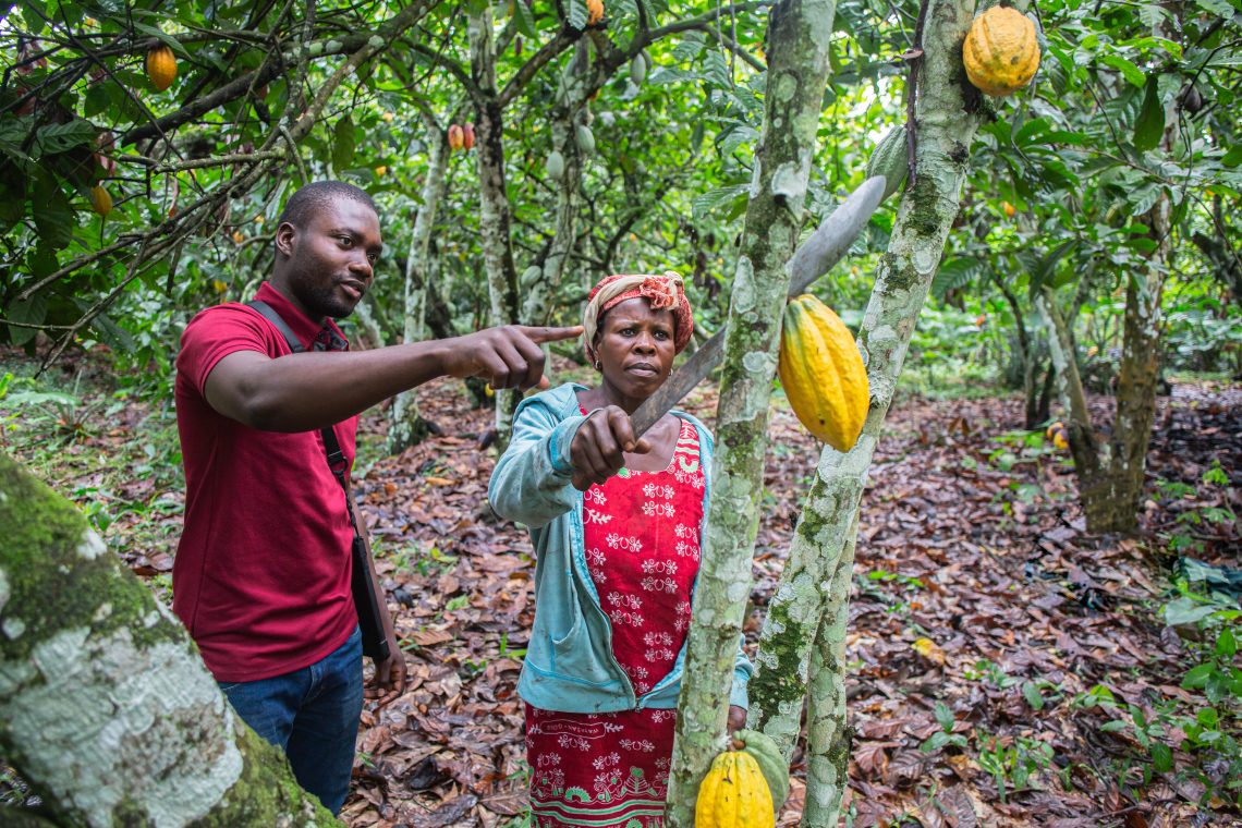 Comfort Appiah Learning To Farm