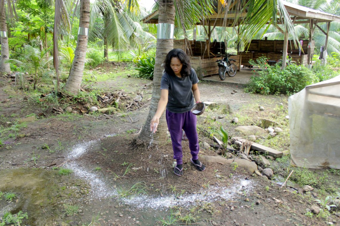 edna applying salt