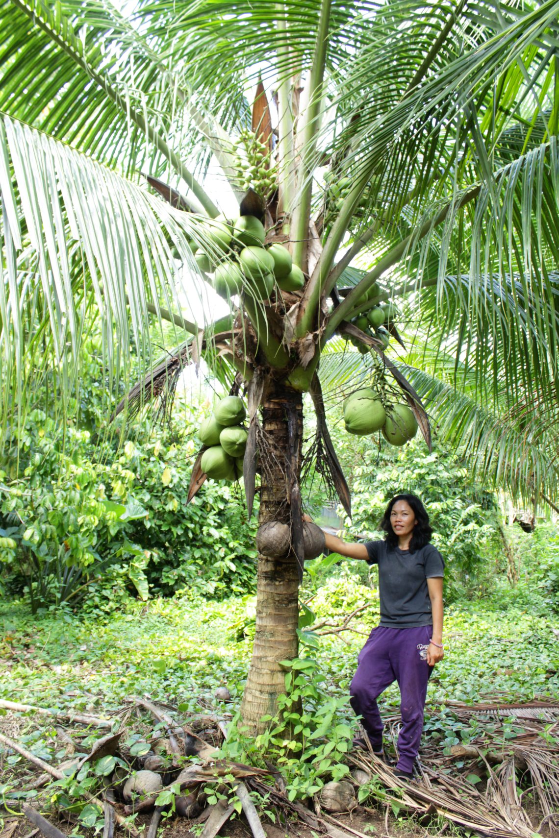 edna leaning on coconut tree