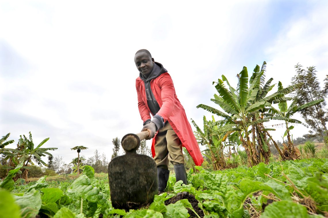 James Nayami’s Spinach Farmer Kenya