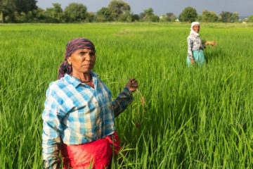 Two women stand in a field in India.