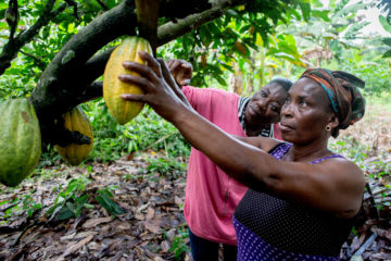 Joyce Kyei Cocoa Farmer
