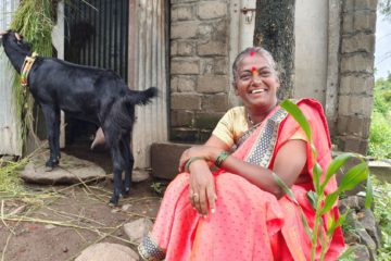 A woman wearing a pink sari smiles at the camera. In the background is a black goat.