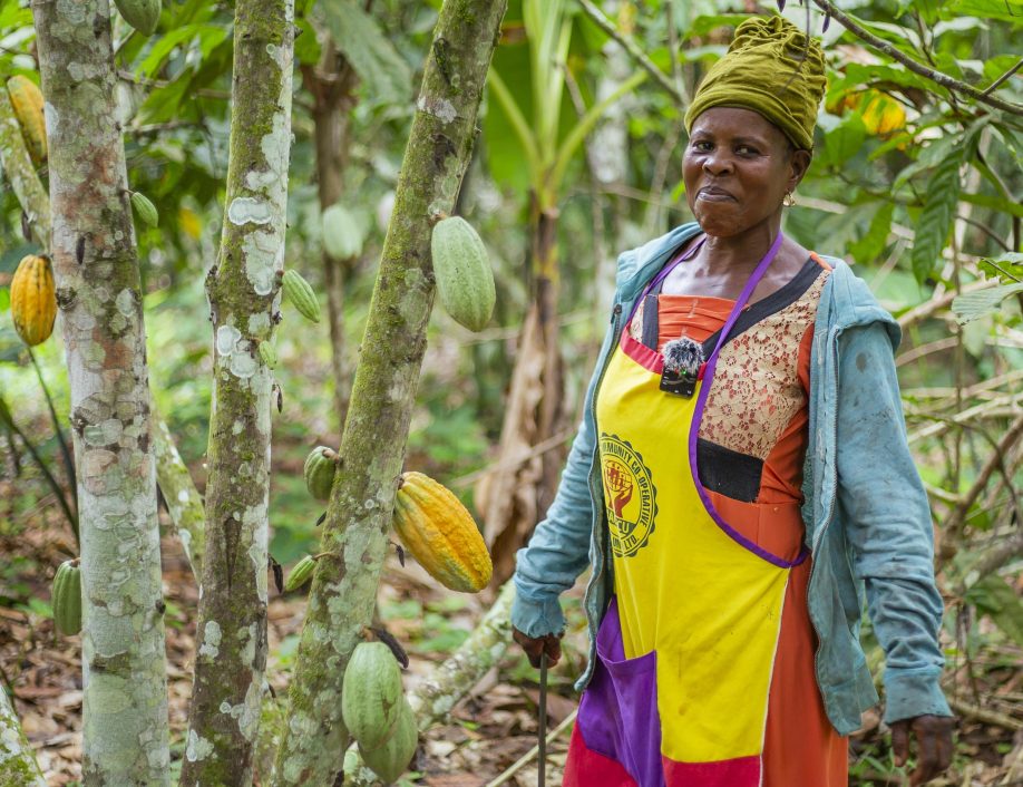 Comfort, a Ghanaian cocoa farmer, looks proudly at the camera. She's standing next to a few of her cocoa trees.