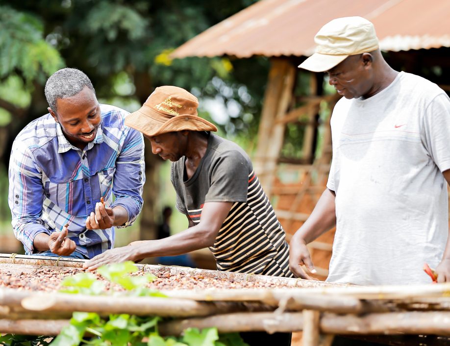 Agronomist and Grameen Community Agent train local farmers