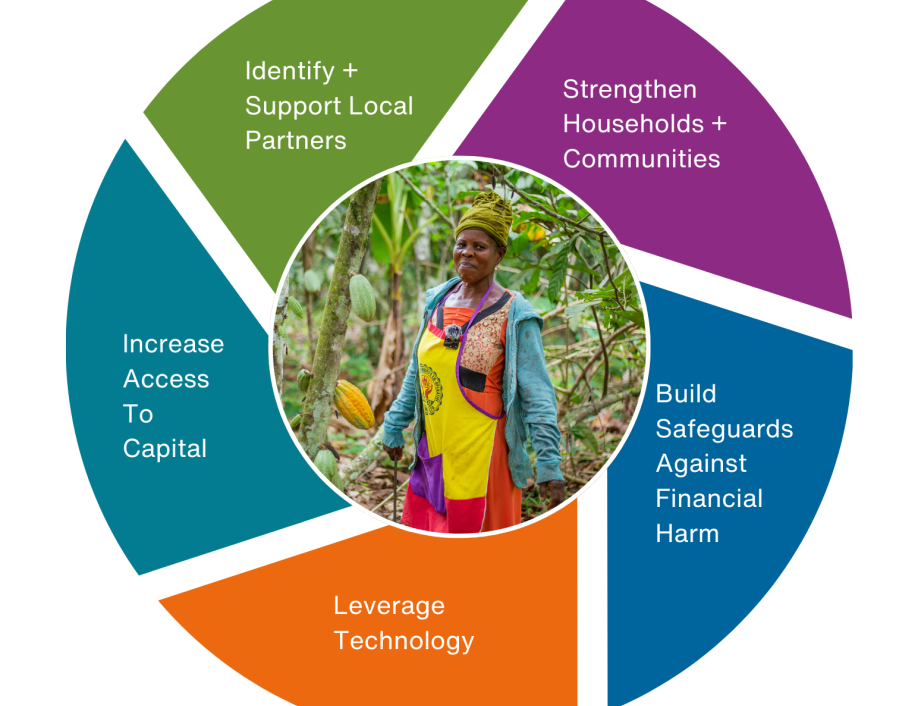 A circle is broken into five sections, each a different color. In the center is a picture of a woman standing outside in a field. The sections represent the five pillars of our Framework for change.