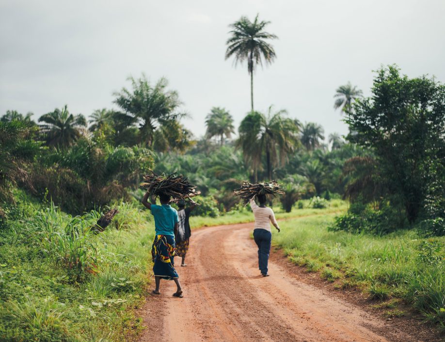 Where we work sierra leone