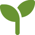 Icon of a green plant